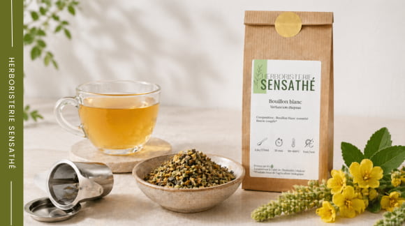 Bouillon-blanc en tisane en vrac pour une respiration naturelle - Herboristerie Sensathé Bouillon-blanc en tisane en vrac pour une respiration naturelle - Herboristerie Sensathé